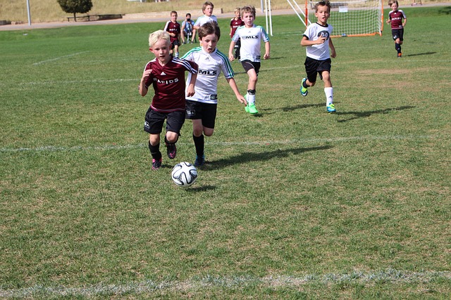 足總杯1／4決賽米德爾斯堡0-2切爾西 盧卡庫破門齊耶赫遠射建功.