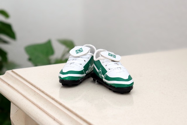 以他的坚持 以他的坚持