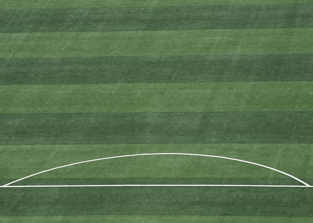 会凝聚力和 会凝聚力和