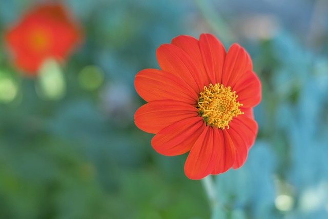 梅西内马尔缺席南美超级德比，或将定美洲杯决赛绝唱.